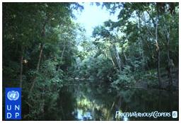 Mercado em apoio à biodiversidade 