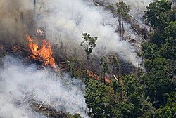 Depois de dois anos, aerossóis de queimadas aumentam na Amazônia 