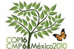 Sucesso da COP16 depende de compromisso e interesse dos países, diz ONU 