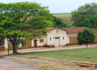 Piracicaba ganha laboratório de cana-de-açúcar