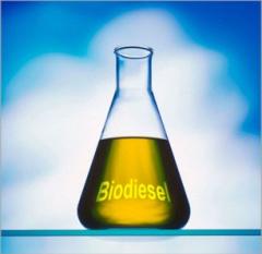 Processo de produção de biodiesel por rota supercrítica