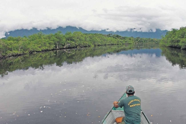 Parque em Bertioga tenta proteger restinga