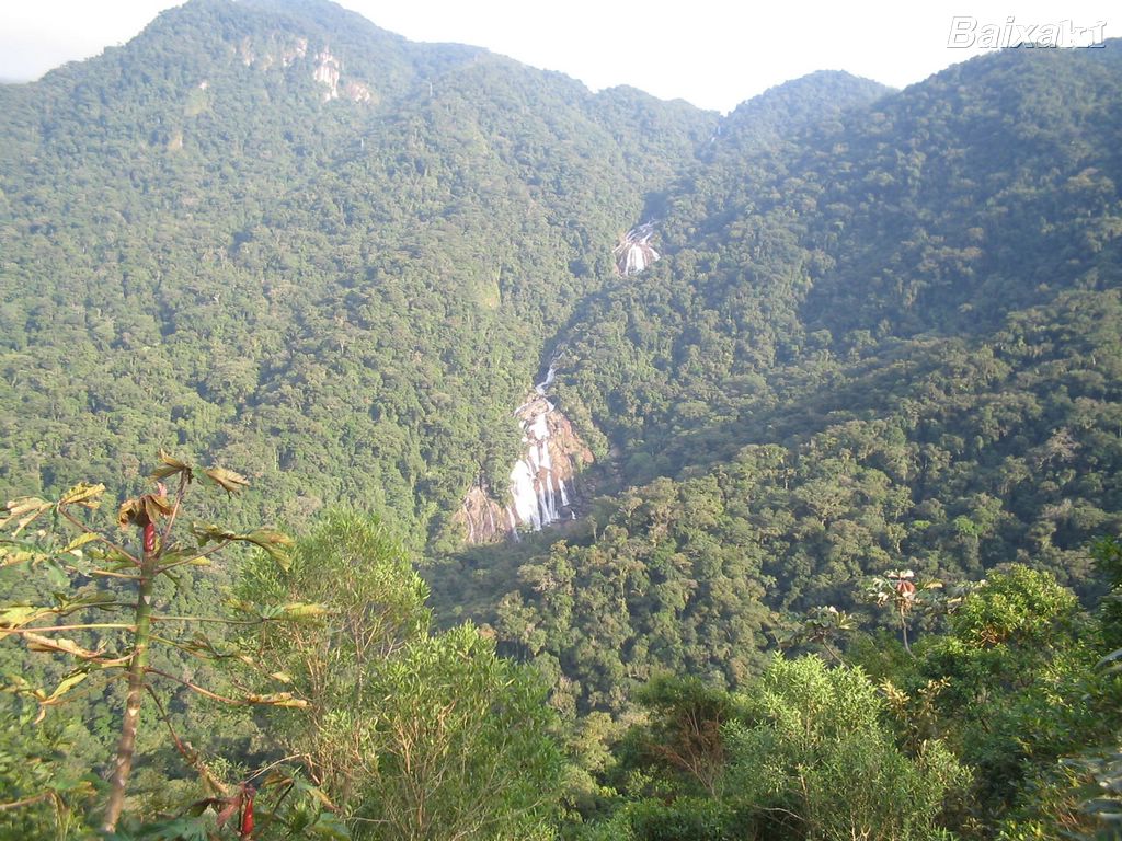 SOS Mata Atlântica anuncia beneficiados do II Edital do Fundo Costa Atlântica