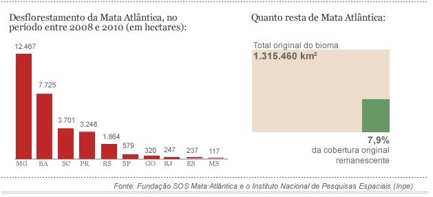 Mata Atlântica perde o correspondente a 196 Ibirapueras em dois anos