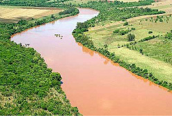 Sustentabilidade da agricultura depende da mata ciliar 