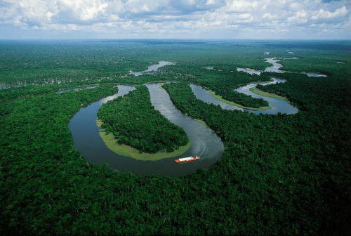 Novo Código Florestal deve anistiar 75% das multas milionárias