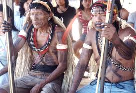 Índios suruís venderão carbono com selo verde 