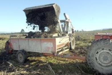 PR: Sanepar recebe mais uma licença para fornecer lodo a agricultores 