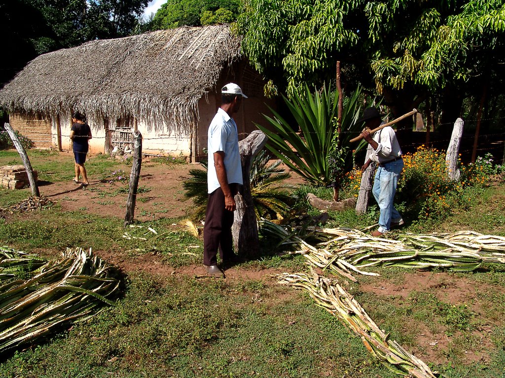 Povos quilombolas do Vale do Jequitinhonha receberão barraginhas e lago de múltiplo uso