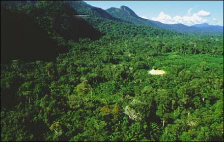 Selo verde para florestas emperra no país 