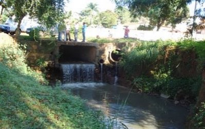 Estudantes dão continuidade a projeto de revitalização do Velho Chico