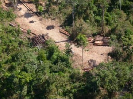 Amazônia perdeu 17% de floresta em 30 anos, diz Pnuma