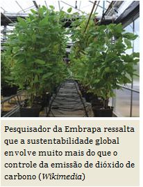 Em defesa das iniciativas científicas sustentáveis