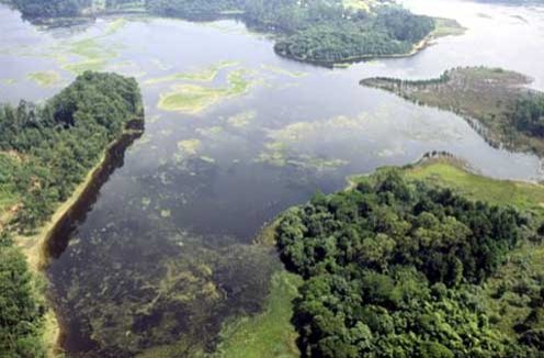 SP: Governo e Sabesp lançam obras para despoluir Guarapiranga 