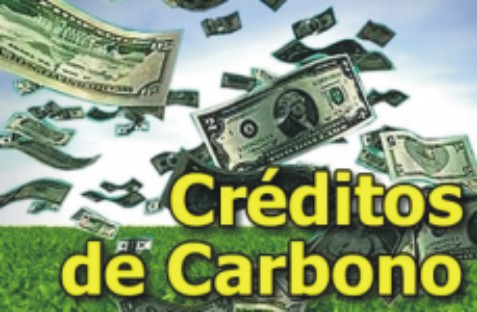 Prefeitura de São Paulo realiza este mês o 2º leilão de créditos de carbono