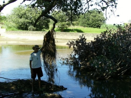 Proprietários rurais do Paraná vão receber para preservar água 