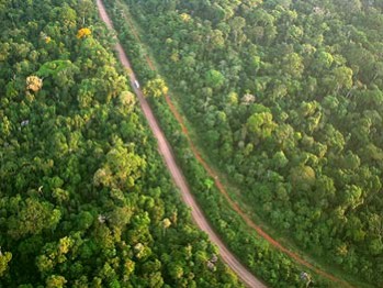 Reservas ambientais, mesmo com a presença de estradas, protegem a Amazônia de incêndios 