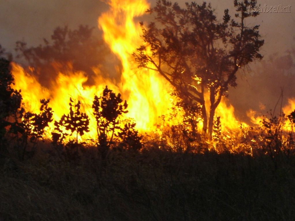 Aquecimento global é fogo